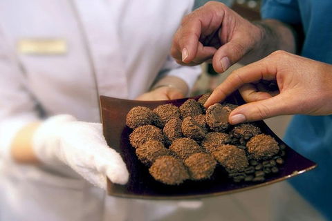 Explore Adelaide City Tour: Haigh's Tasting Chocolate & Adelaide Oval Tour - Australian Directory 2