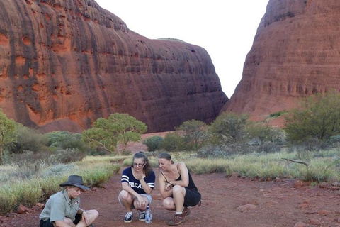 5-Hour Kata Tjuta Sunrise Tour From Ayers Rock With Breakfast - Australian Directory 0
