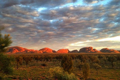5-Hour Kata Tjuta Sunrise Tour From Ayers Rock With Breakfast - Australian Directory 1