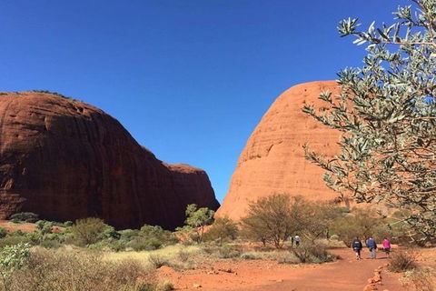 5-Hour Kata Tjuta Sunrise Tour From Ayers Rock With Breakfast - Australian Directory 4