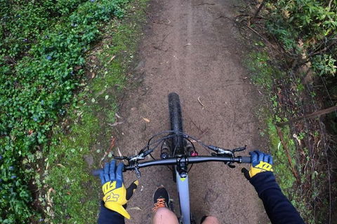 Explore Downhill Mountain In 3-Hour Bike Tour From Hobart - Australian Directory 2