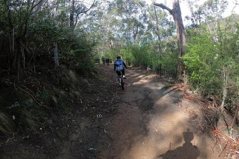 Explore Downhill Mountain In 3-Hour Bike Tour From Hobart - Australian Directory 3