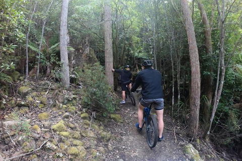 Explore Downhill Mountain In 3-Hour Bike Tour From Hobart - Australian Directory 4