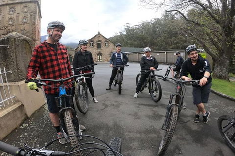 Explore Downhill Mountain In 3-Hour Bike Tour From Hobart - Australian Directory 5