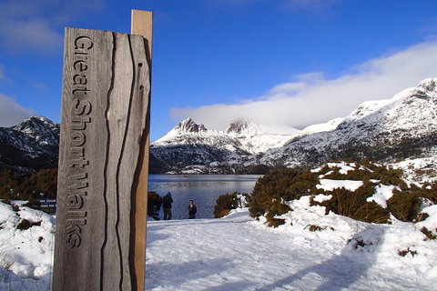 Cradle Mountain Active Day Trip From Launceston - Australian Directory 3
