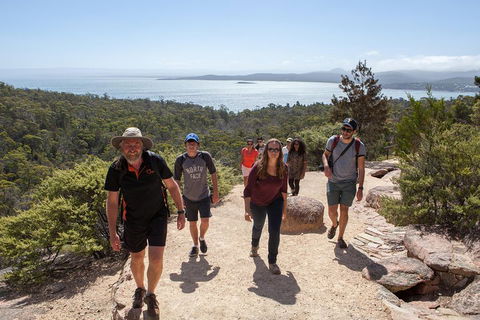 3-Day Tasmania Combo: Launceston To Hobart Active Tour Including Cradle Mountain, Freycinet National Park And Port Arthur - Australian Directory 5