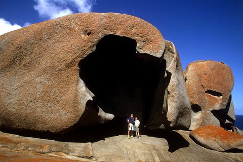 Full-Day Kangaroo Island Safari From Penneshaw - Australian Directory 0