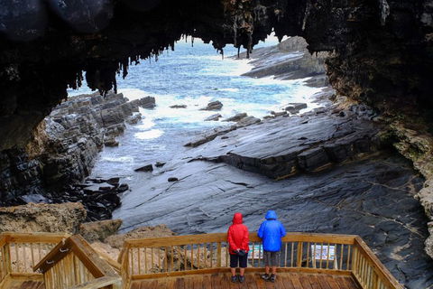 Full-Day Kangaroo Island Safari From Penneshaw - Australian Directory 1