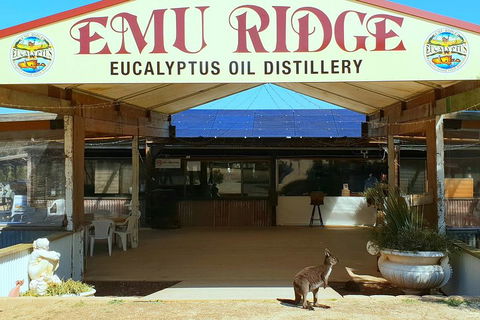 Full-Day Kangaroo Island Safari From Penneshaw - Australian Directory 2