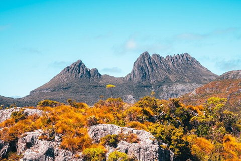 Cradle Mountain National Park Day Tour From Launceston - Australian Directory 1