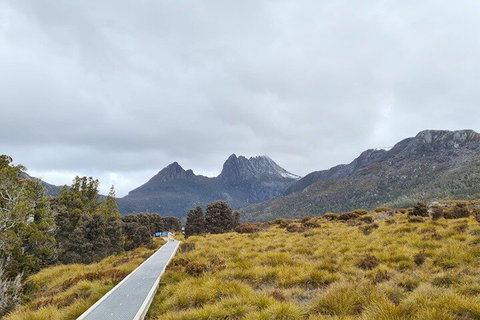 Cradle Mountain National Park Day Tour From Launceston - Australian Directory 2