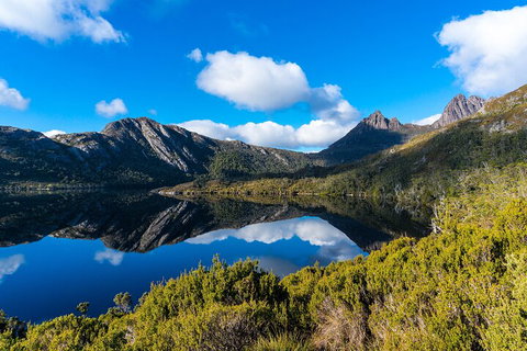 Cradle Mountain National Park Day Tour From Launceston - Australian Directory 3
