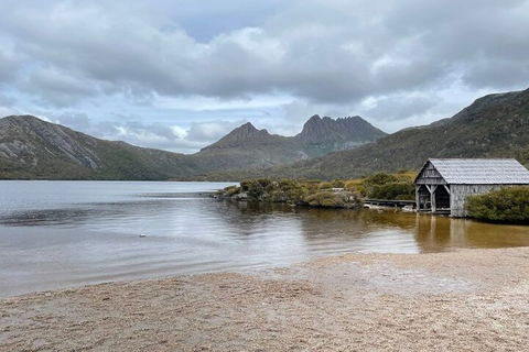 Cradle Mountain National Park Day Tour From Launceston - Australian Directory 4