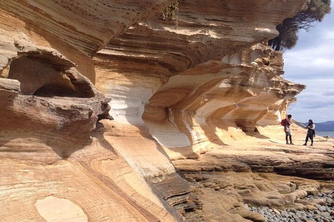 Hobart Minibus Full-Day Private Tour - Australian Directory 0