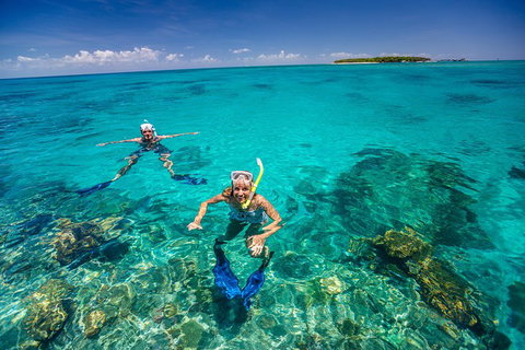 Green Island Discovery Including Glass Bottom Boat Tour Departing Cairns - Australian Directory 2