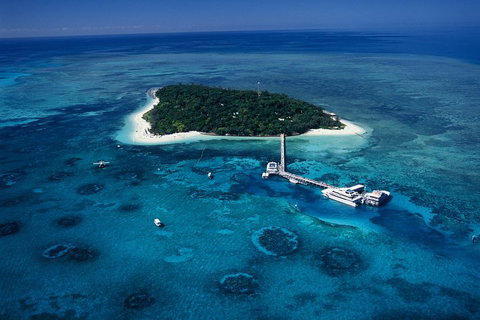 Green Island Discovery Including Glass Bottom Boat Tour Departing Cairns - Australian Directory 3