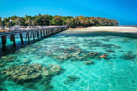 Green Island Discovery Including Glass Bottom Boat Tour Departing Cairns - Australian Directory 4