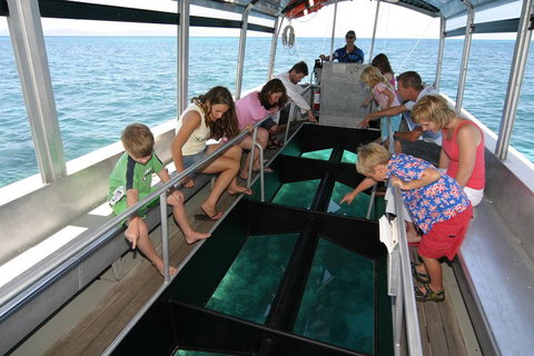 Green Island Discovery Including Glass Bottom Boat Tour Departing Cairns - Australian Directory 5