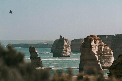 Half-Day Or Full-Day Tour With Private Guide From Melbourne - Australian Directory 0