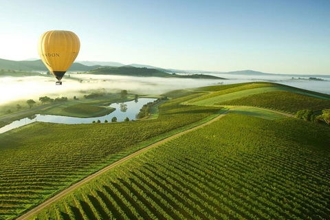 Half-Day Or Full-Day Tour With Private Guide From Melbourne - Australian Directory 4
