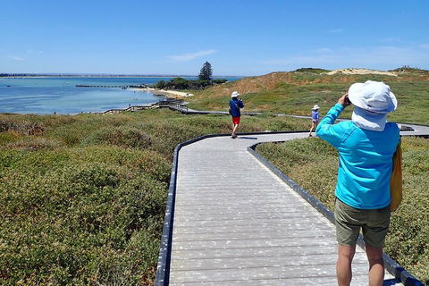 Penguin And Seal Islands Sea Kayaking Experience - Australian Directory 1