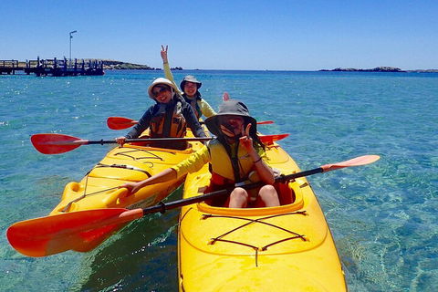 Penguin And Seal Islands Sea Kayaking Experience - Australian Directory 4
