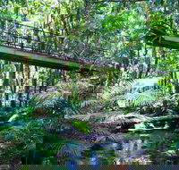 Double Pack-Ancient Rainforest and Waterfalls - Australian Directory