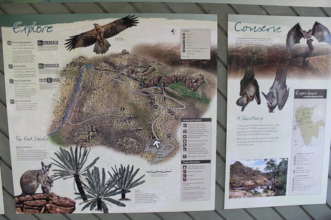 Jumping Crocodile Cruise And Berry Springs Nature Park - Australian Directory 2