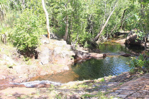 Jumping Crocodile Cruise And Berry Springs Nature Park - Australian Directory 3