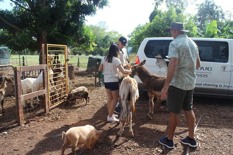 Jumping Crocodile Cruise And Berry Springs Nature Park - Australian Directory 4