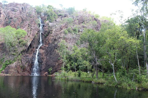 Jumping Crocodile Cruise And Berry Springs Nature Park - Australian Directory 5