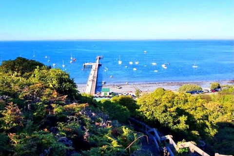 Mornington Peninsula Sightseeing Tour For 2-6 Guests. - Australian Directory 1