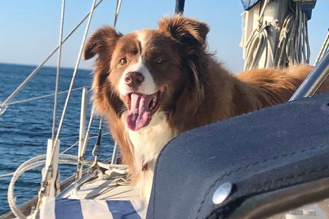 Mornington Peninsula Sightseeing Tour For 2-6 Guests. - Australian Directory 2