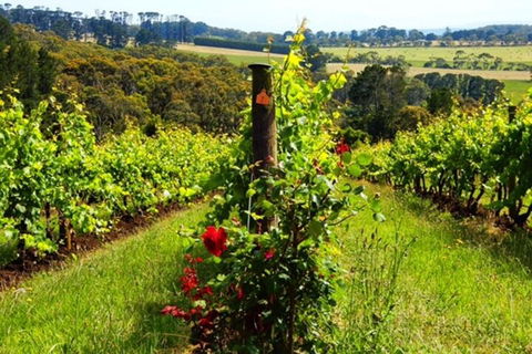 Mornington Peninsula Sightseeing Tour For 2-6 Guests. - Australian Directory 3