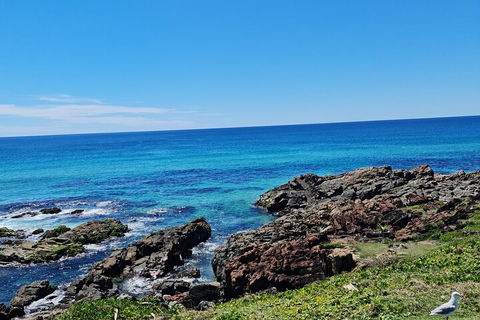 Private Custom Byron Bay Day Out - Australian Directory 4
