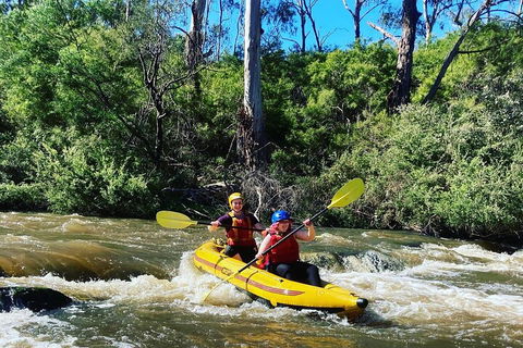 Yarra River Half-Day Rafting Experience - Australian Directory 2