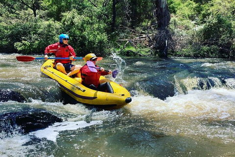 Yarra River Half-Day Rafting Experience - Australian Directory 4
