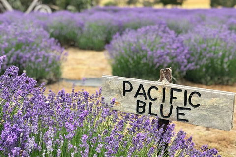 Kangaroo Island Food And Wine Hop-on Hop-off Tour - Australian Directory 4