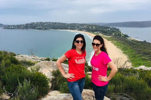 Small-Group Sydney's Northern Beaches And Ku-ring-gai National Park Bus Tour - Australian Directory 3