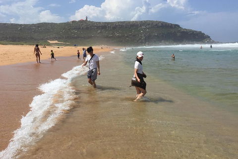 Small-Group Sydney's Northern Beaches And Ku-ring-gai National Park Bus Tour - Australian Directory 5