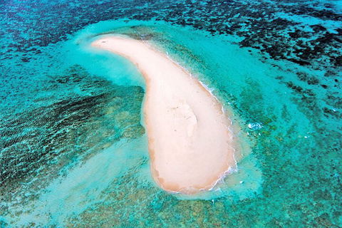 Private Coral Cay Bubbles Tour - Australian Directory 3