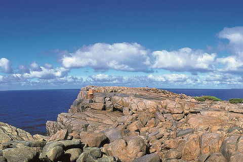 4 Day Tour: Albany, Margaret River, Valley Of The Giants TreeTop Walk From Perth - Australian Directory 0