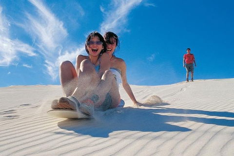 Full Day Pinnacle Desert Explorer From Perth Including Hillarys And Lancelin Sandboarding - Australian Directory 1