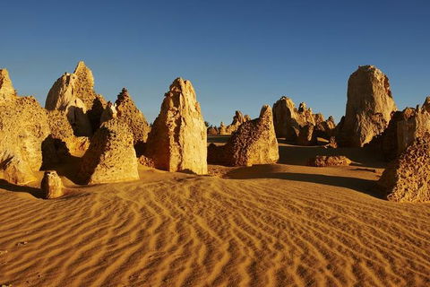 Full Day Pinnacle Desert Explorer From Perth Including Hillarys And Lancelin Sandboarding - Australian Directory 3