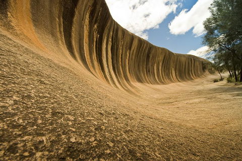 Wave Rock, York, Wildflowers, And Aboriginal Cultural Day Tour From Perth - Australian Directory 0