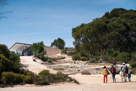 2-Hour Koala Walking Tour In Kangaroo Island - Australian Directory 3