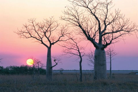 8-Day Outback Experience From Queensland - Australian Directory 5
