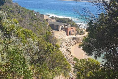 Fort Nepean And Quarantine Station Tour - Australian Directory 4