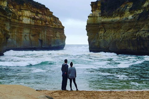 Great Ocean Road Small-Group Ecotour From Melbourne - Australian Directory 1