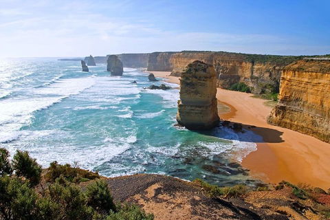 Great Ocean Road Small-Group Ecotour From Melbourne - Australian Directory 2